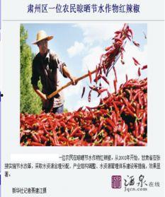 酒泉媒体爆料最新消息,重大事件引发社会关注！