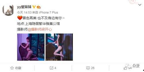 阿楠服饰爆料最新消息视频,揭秘时尚界新潮流趋势