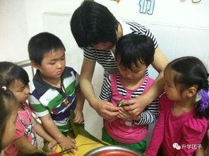 高塍幼儿园爆料事件最新,真相揭开，家长震惊，幼儿园紧急回应