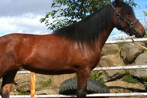 马黑爆料最新视频下载,深度解析行业内幕